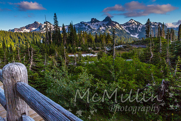2011 Seattle Mt Rainier Trip-9717