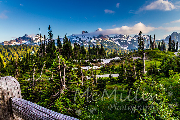 2011 Seattle Mt Rainier Trip-9762