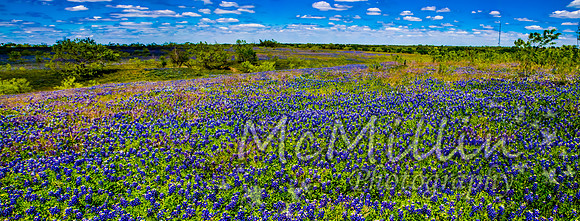 IMG_0882 3 4 5 Panorama