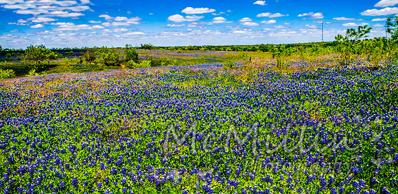 IMG_0882 3 4 5 Panorama2