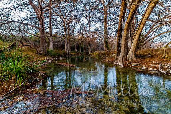 2012 12 Texas Hill Country II -4892