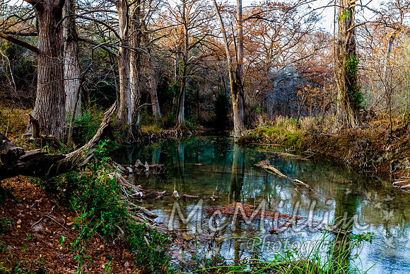 2012 12 Texas Hill Country II -4904