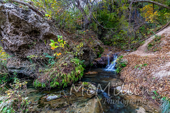 2012 Texas Hill Country-3310