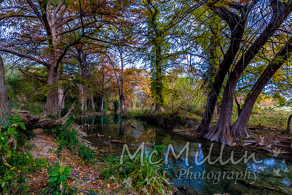 2012 Texas Hill Country-3379