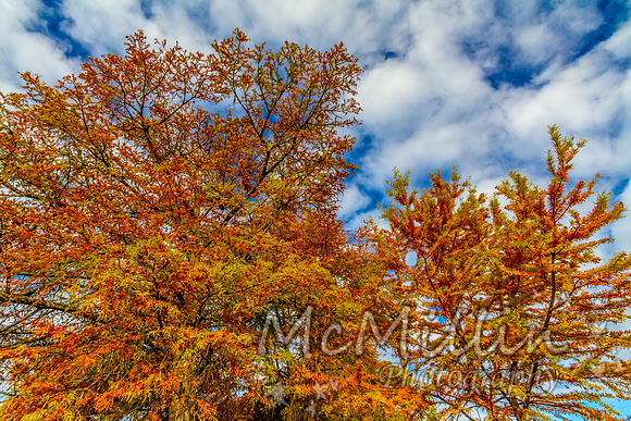 2012 Texas Hill Country-3384