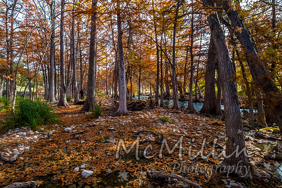 2012 Texas Hill Country-3398