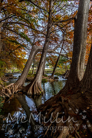 2012 Texas Hill Country-3415