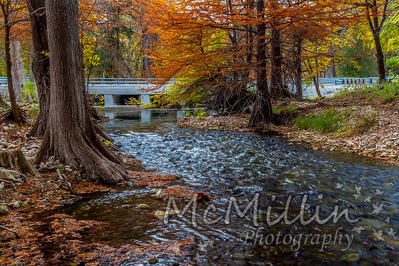 2012 Texas Hill Country-3434