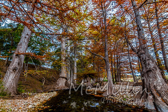 2012 Texas Hill Country-3440