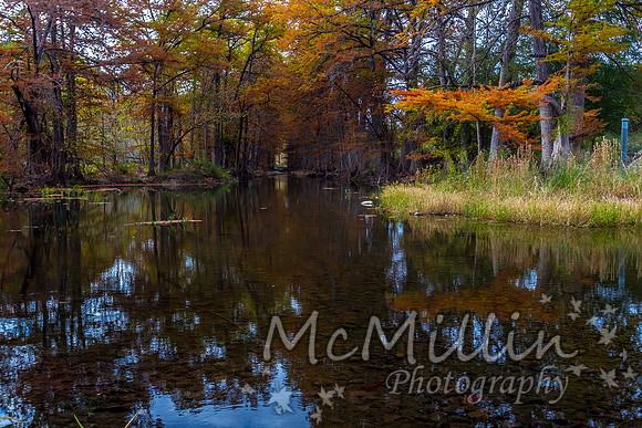 2012 Texas Hill Country-3447