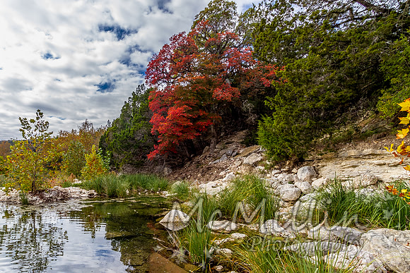 2012 Texas Hill Country-3453