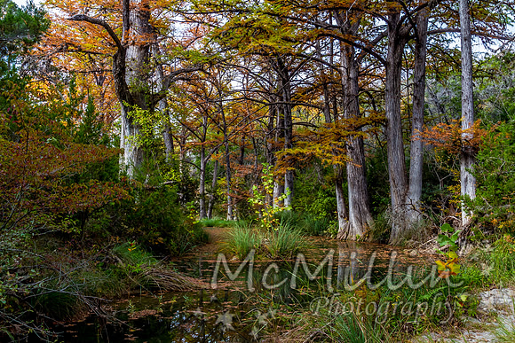 2012 Texas Hill Country-3812