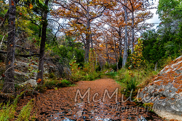 2012 Texas Hill Country-3817