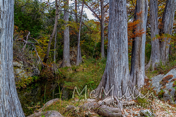 2012 Texas Hill Country-3820