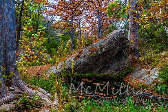 2012 Texas Hill Country-3822