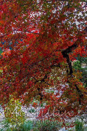 2012 Texas Hill Country-3458