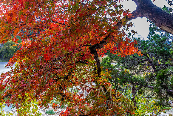2012 Texas Hill Country-3460
