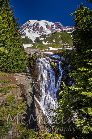 2011 Seattle Mt Rainier Trip-9959