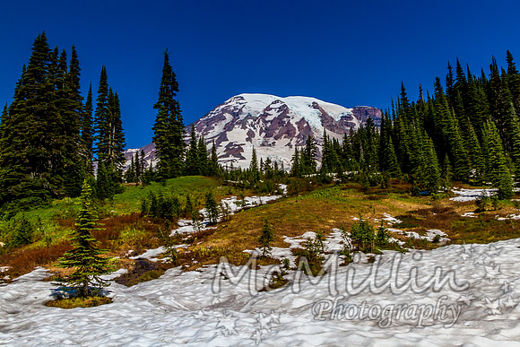 2011 Seattle Mt Rainier Trip-9981-5