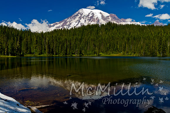 2011 Seattle Mt Rainier Trip-10080