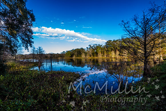 2012 12 13 Brazos Bend-4166