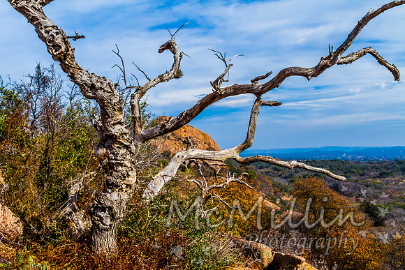 2012 12 Texas Hill Country II -4805