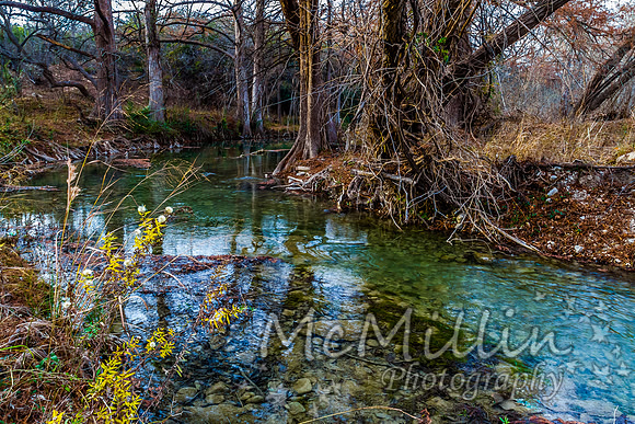 2012 12 Texas Hill Country II -4894