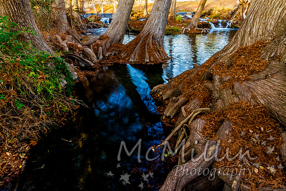 2012 12 Texas Hill Country II -4925