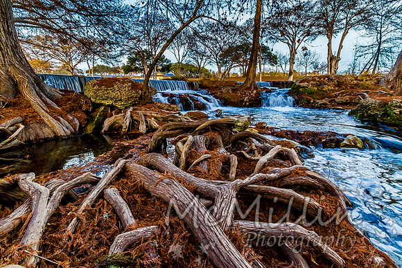 2012 12 Texas Hill Country II -4944 (2)