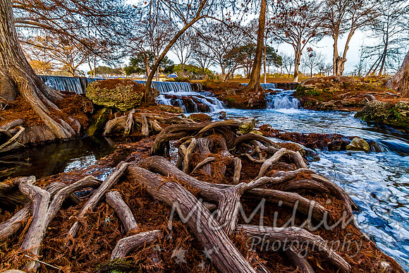 2012 12 Texas Hill Country II -4944