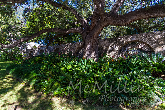2012 Texas Hill Country-3147