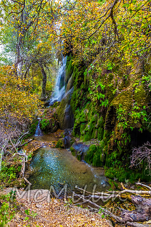2012 Texas Hill Country-3340