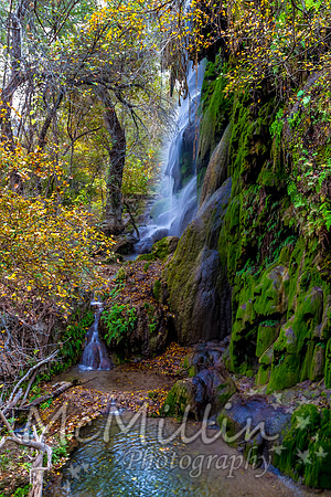 2012 Texas Hill Country-3342