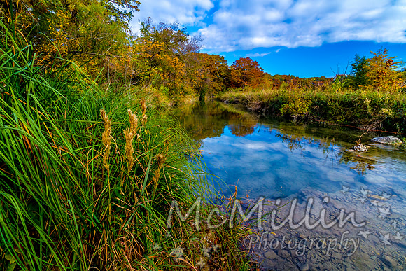 2012 Texas Hill Country-3374