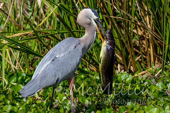 IMG_8205