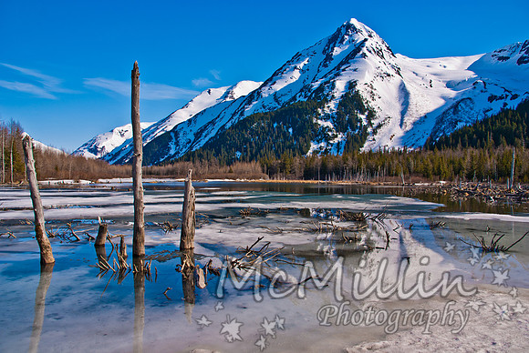 2009 Alaska DSC07015