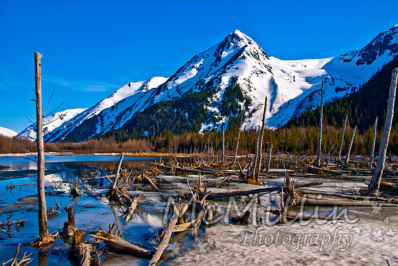 2009 Alaska DSC07018-2 adjust