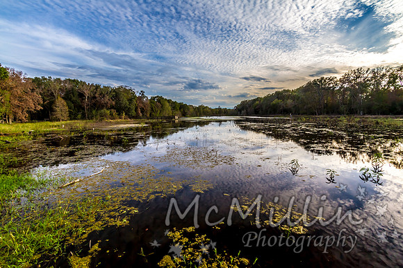 2011 Nov Brazos Bend-8373-2