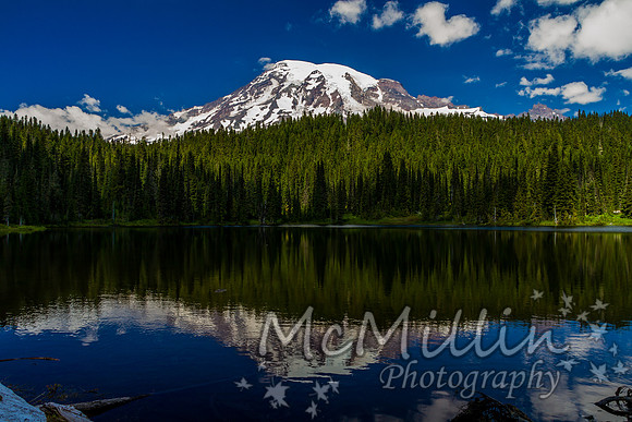 2011 Seattle Mt Rainier Trip-0073