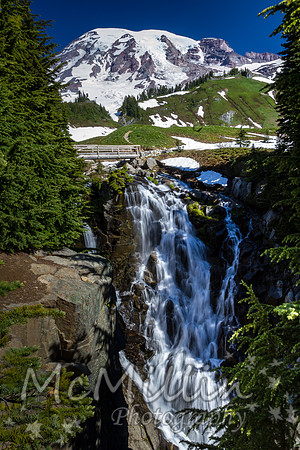 2011 Seattle Mt Rainier Trip-9938