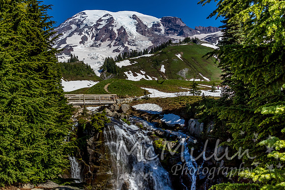 2011 Seattle Mt Rainier Trip-9949