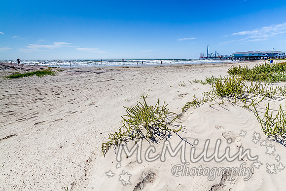 2012 10 21 Galveston-2167