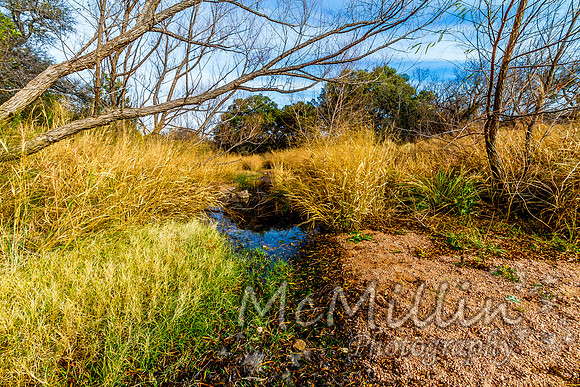 2012 12 Texas Hill Country II -4871
