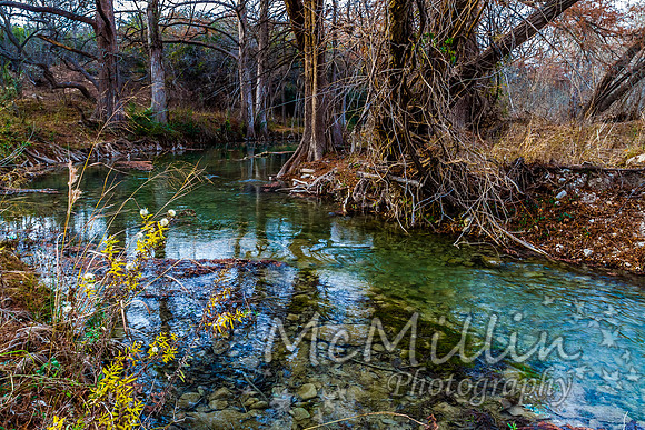 2012 12 Texas Hill Country II -4894