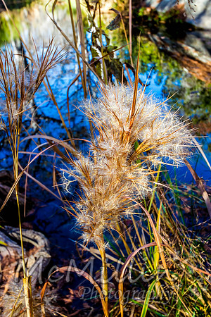 2012 12 Texas Hill Country II -5302