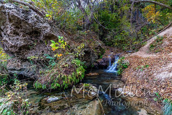 2012 Texas Hill Country-3310