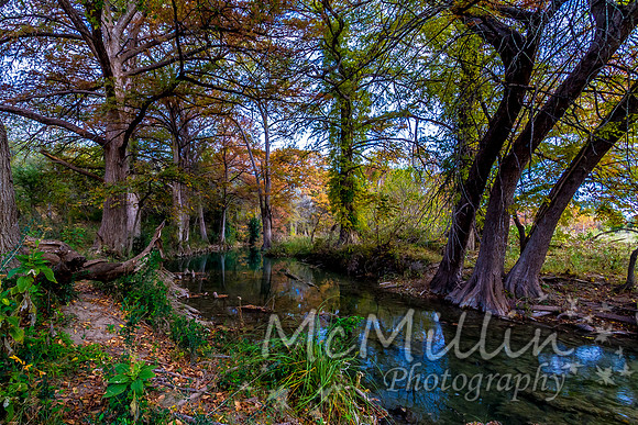 2012 Texas Hill Country-3379