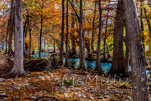 2012 Texas Hill Country-3399