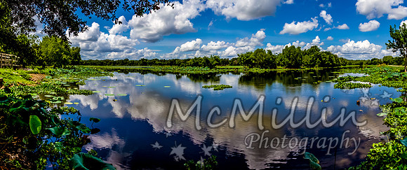 IMG_3671 to 77 Panarama