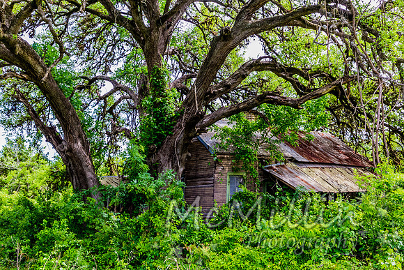Old Abandoned House